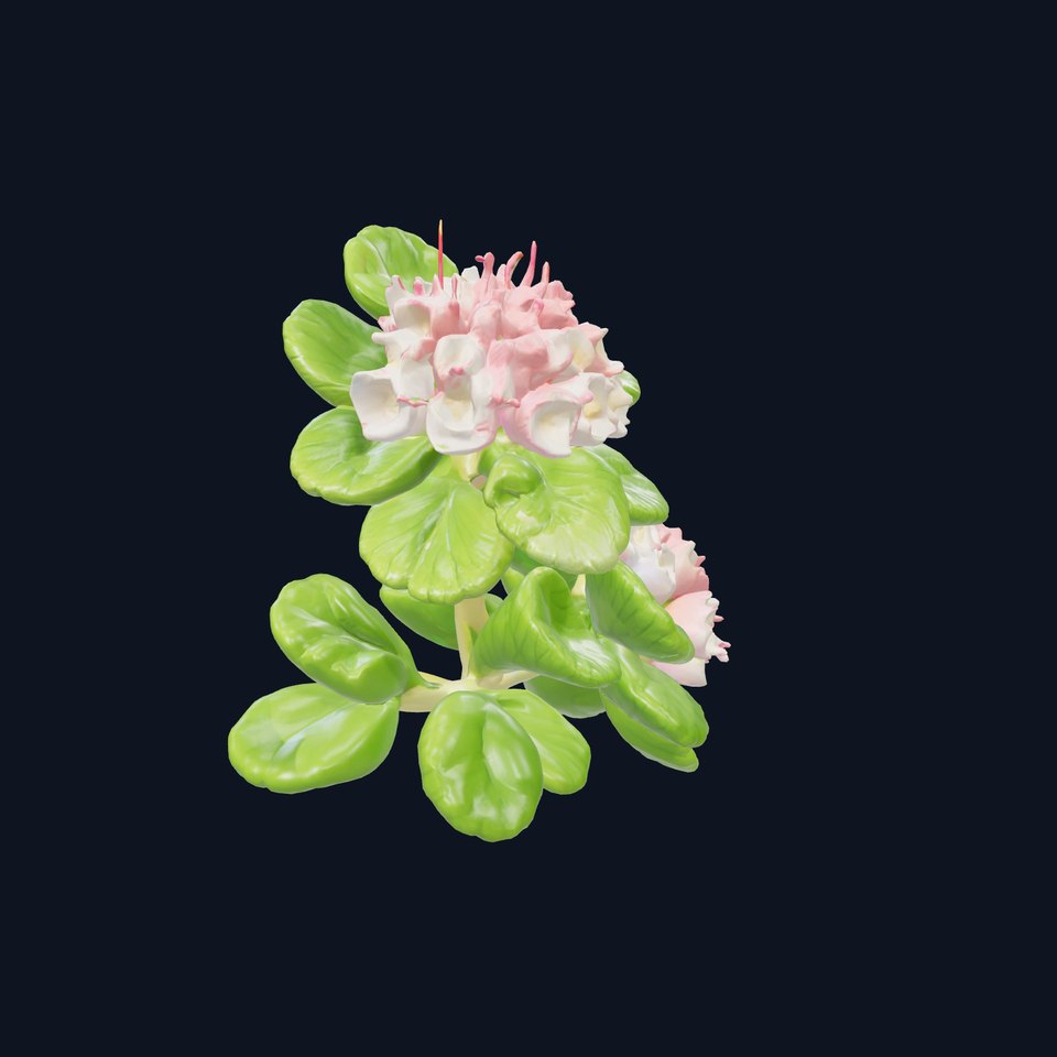 Double Clover Blossom Intricate Detail model pack